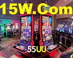 Premium Interface 55UU